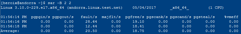 output from sar -B 2 2