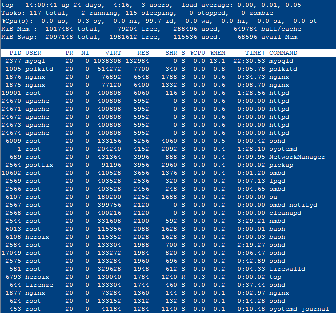 output from top