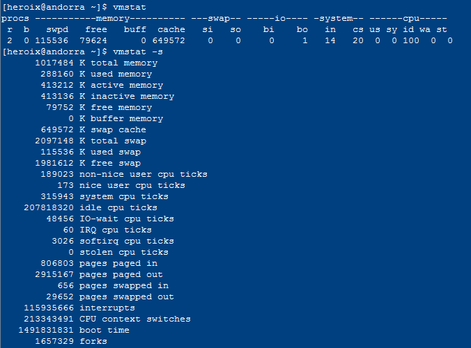 output from vmstat -s